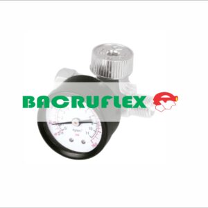 Regulador de aire con manómetro cuerda 1/4" NPT 19239 TRUPER