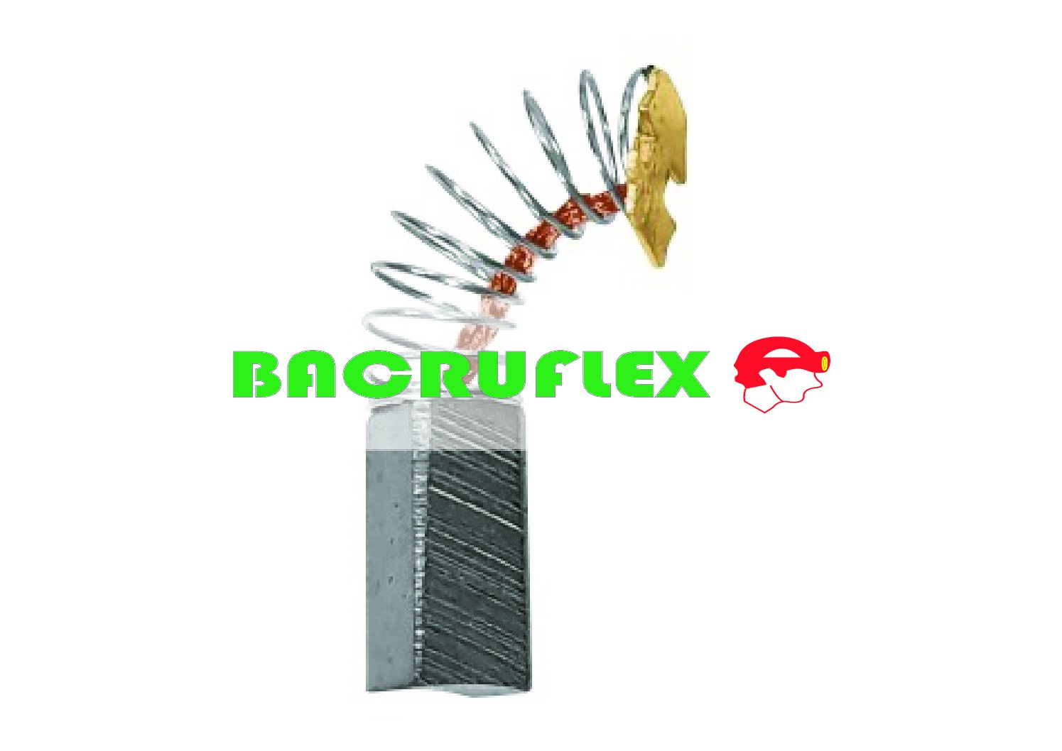 Bolsa con 2 carbones d/repuesto p/ROTO-1/2P6 y 3/8P6 27118 TRUPER