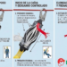 ¿Cómo funciona el absorbedor de energía de una eslinga Hauk?